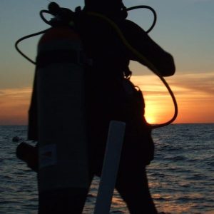 Night Dive
