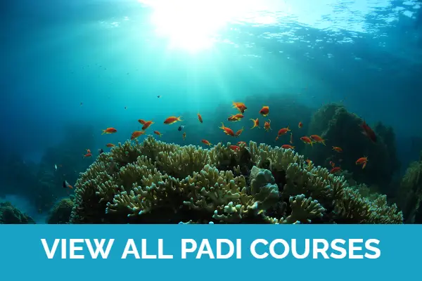 learn to dive in fiji with coral coast and padi