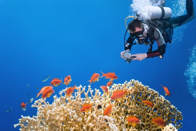 diver with a small camera in Fiji's Beqa Lagoon