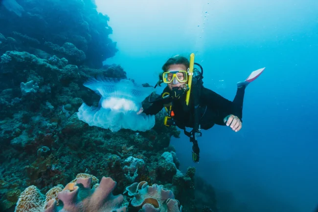 ssi open water certification fiji