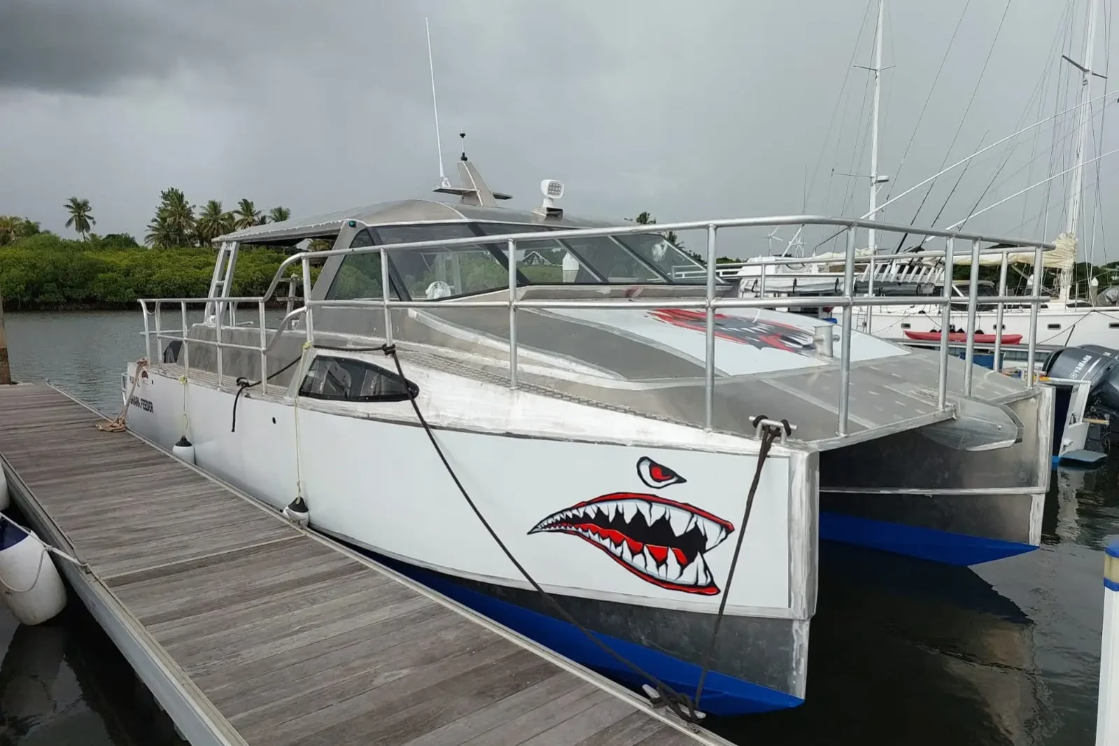 shark feeder dive boat for the Fiji Shark Dive