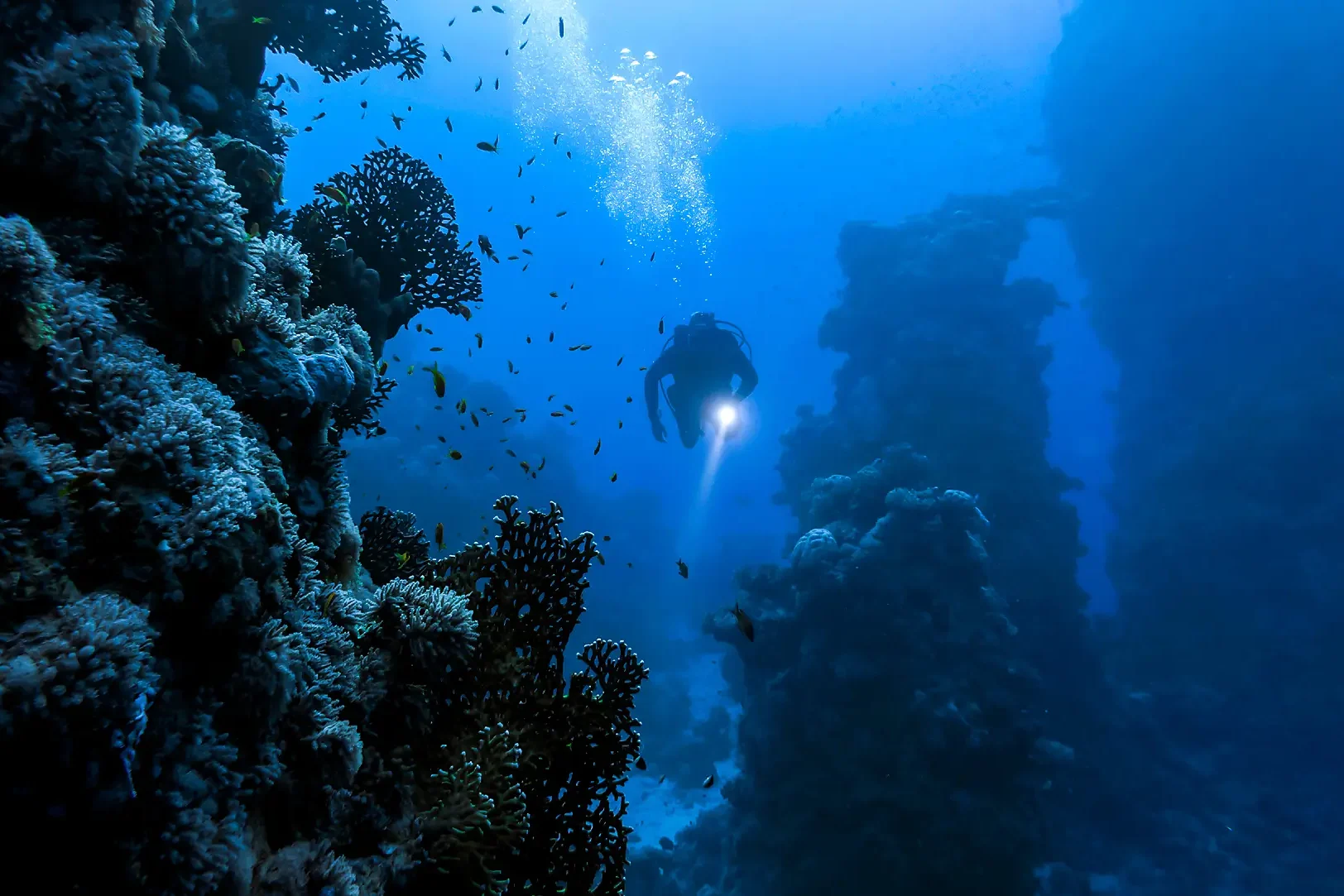 deep diving deep diving in the Beqa Lagoon