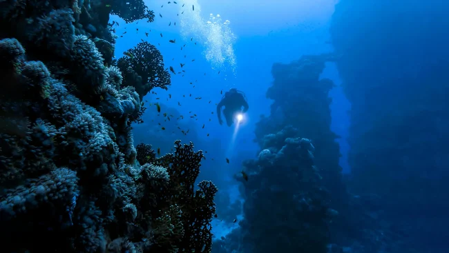 deep diving in the Beqa Lagoon