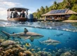 7 Eco Dive Center Benefits That Matter