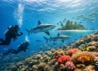 7 Top Reasons to Dive Fiji