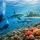 7 Top Reasons to Dive Fiji