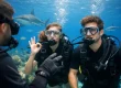 Can Beginners Do Discovery Scuba?