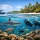 Fiji Marine Conservation Travel Guide