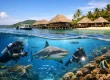 How to Choose Dive Resort Without Regret