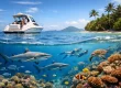 Private Marine Adventure Fiji Done Right