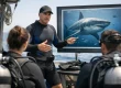 Shark Behaviour Briefing Example for Divers