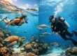 Snorkeling Versus Scuba Diving: Which Fits?