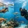 Snorkeling Versus Scuba Diving: Which Fits?