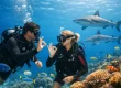 SSI Dive Training for Confident Fiji Diving
