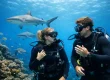 SSI Open Water Review for New Divers