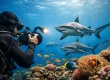 Underwater Photography Diving Fiji Tips
