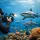Underwater Photography Diving Fiji Tips