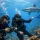 Which Advanced Scuba Specialty Courses Fit You?
