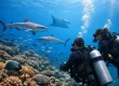 Best Scuba Courses After Open Water for Fiji