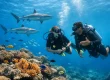 Best Scuba Courses for Beginners in Fiji