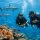 Best Scuba Courses for Beginners in Fiji