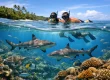 Best Snorkeling Spots in Pacific Harbour, Fiji