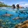 Best Snorkeling Spots in Pacific Harbour, Fiji