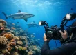 Best Underwater Camera Settings for Fiji Dives