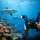 Best Underwater Camera Settings for Fiji Dives