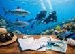 Dive Travel Insurance Comparison for Fiji Divers