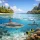Do Sharks Swim in Lagoons? Yes - Here’s Why