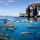 How to Choose Shark Dive Operators Well
