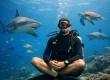 How to Stay Calm Underwater and Dive Better