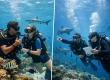 Intro Dive Versus Certification Course