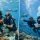 Intro Dive Versus Certification Course