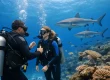 Open Water Referral Course Benefits for Fiji Divers