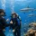 Open Water Referral Course Benefits for Fiji Divers