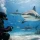 Shark Dive Stories That Change How You See Sharks