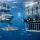 Shark Research Tourism Trends Worth Watching
