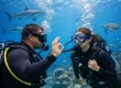 Best Beginner Scuba Skills for Safer First Dives