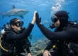 Diver Certification Stories That Build Real Confidence