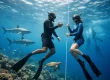 How to Start Freediving Safely as a Beginner