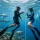 How to Start Freediving Safely as a Beginner