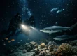 Are Night Dives Suitable for Beginners?