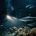 Are Night Dives Suitable for Beginners?