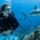 Can Non Swimmers Scuba Dive? What to Know