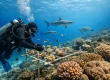 Coral Conservation for Better Fiji Diving
