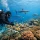 Coral Conservation for Better Fiji Diving