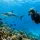 Eco Dive Travel Trends Shaping Better Fiji Trips
