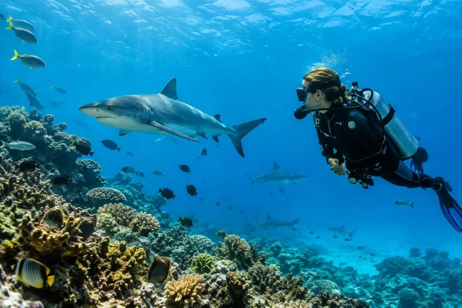 Eco Dive Travel Trends Shaping Better Fiji Trips